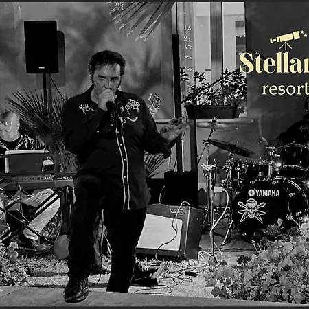 Bed & Breakfast Stellaris