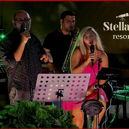 Stellaris Bed & Breakfast 4*